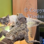 Forrest Viosna*PL