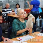 Elmirka Viosna*PL w trakcie oceny