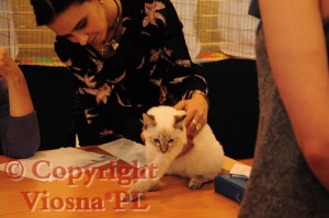 Julian Viosna*PL podczas oceny