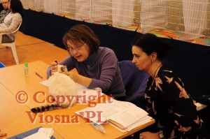 Julian Viosna*PL podczas oceny