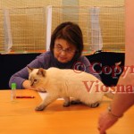 Julian Viosna*PL podczas oceny