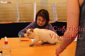 Julian Viosna*PL podczas oceny