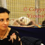 Julian Viosna*PL czekając na BIS