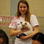 Julian Viosna*PL Best In Show