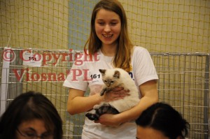 Julian Viosna*PL Best In Show
