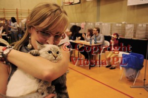 Julian Viosna*PL Best In Show