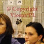 Elmirka Viosna*PL w czasie BISów