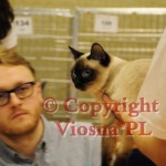Elmirka Viosna*PL w czasie BISów