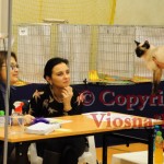 Elmirka Viosna*PL w czasie BISów