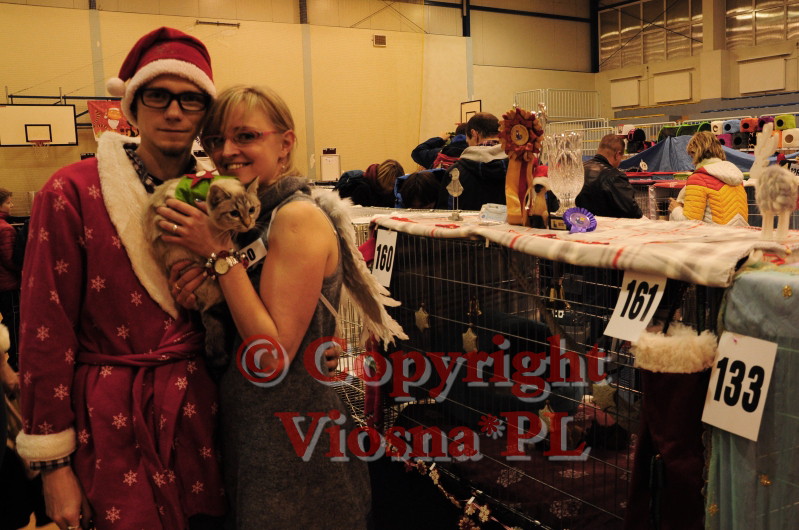 Mikołajkowa Międzynarodowa Wystawa Kotów Rasowych – Warszawa, 5-6.12.2015