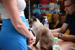 Elmirka Viosna*PL