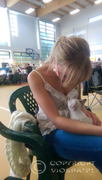 Międzynarodowa Wystawa Kotów Rasowych – Toruń, 13-14.09.2014