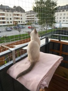 Zuzia Viosna*PL