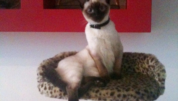 Nowe zdjęcia Astrid :)
