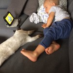 Orfeusz Viosna*PL (Lee) i Staś