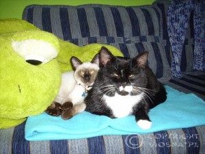 Whisper & Monster
