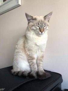 Zosia Viosna*PL