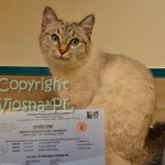 Grand International Champion Helenka Viosna*PL