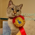 Grand International Champion Helenka Viosna*PL