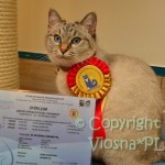 Grand International Champion Helenka Viosna*PL