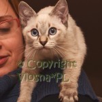 Morris Viosna*PL