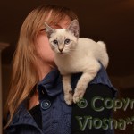 Morris Viosna*PL