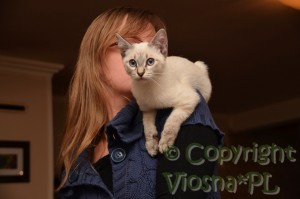 Morris Viosna*PL