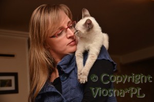 Morris Viosna*PL
