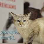 Helenka podczas oceny