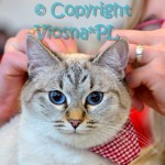 Helenka Viosna*PL