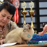 Helenka Viosna*PL podczas oceny
