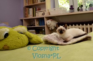 Penny Viosna*PL