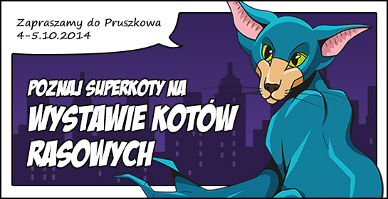 Kolejna wystawa kotów rasowych