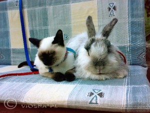 Whisper & Manfred